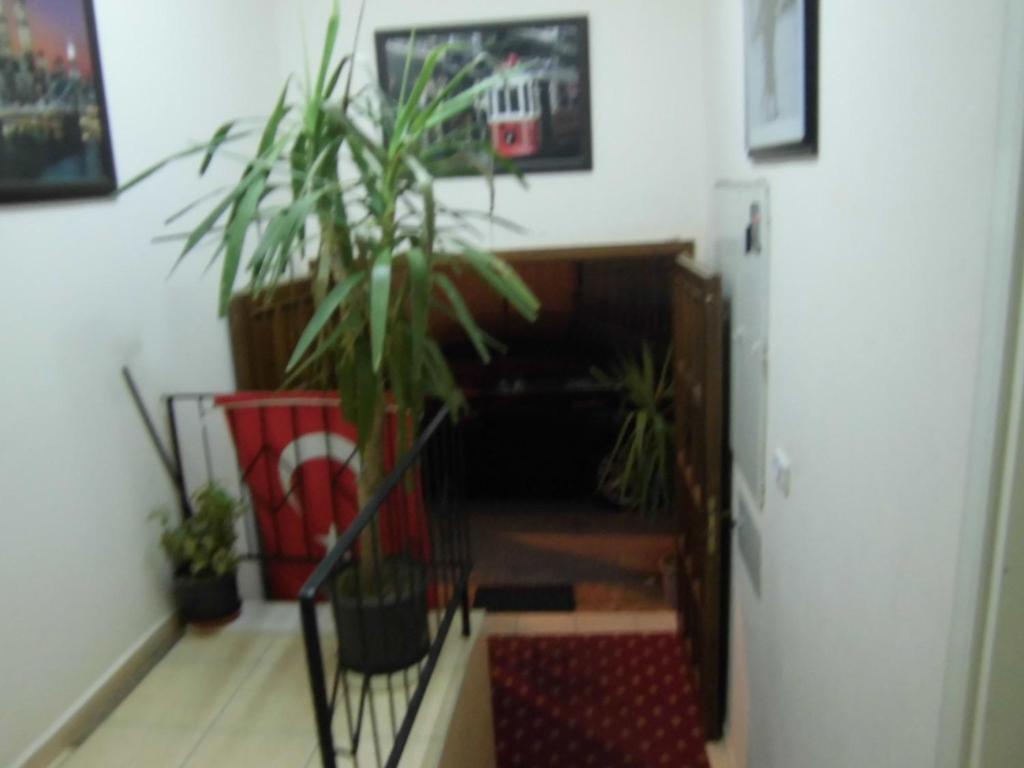 Cinar Hotel Antalya Exterior foto
